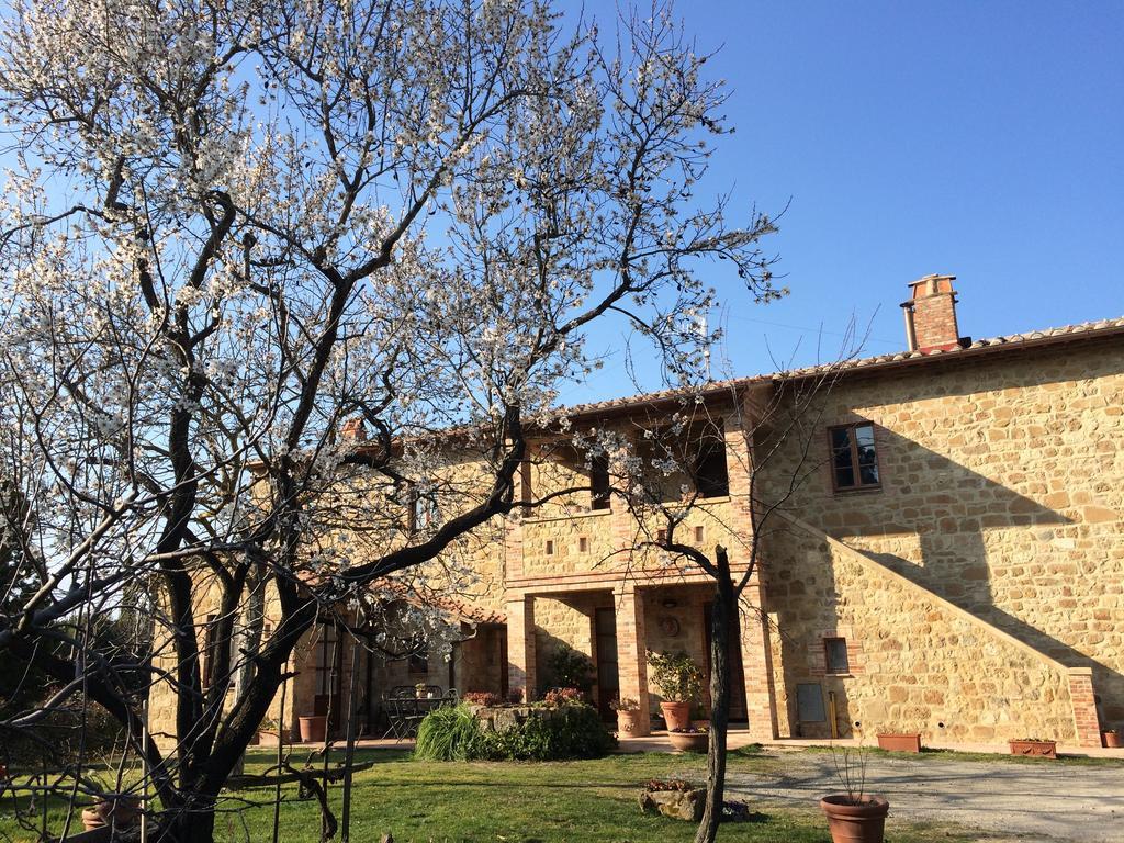 Agriturismo Podere San Gregorio П'єнца Екстер'єр фото