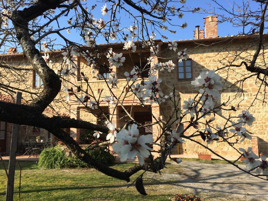 Agriturismo Podere San Gregorio П'єнца Екстер'єр фото